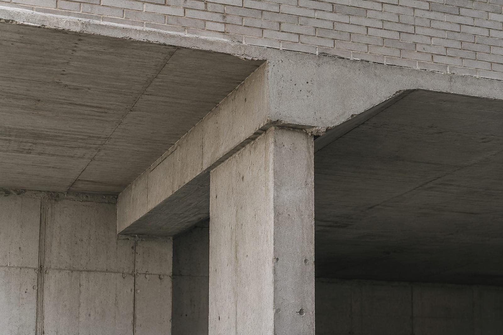 Estructura portante: Encuentro de forjado y soporte, armaduras vistas, flechas 